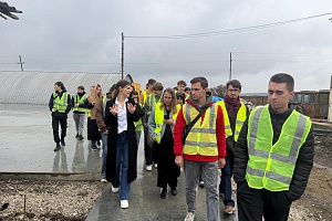 ������ �� ������ � ��� "�������" ��� ���������-�������� ������